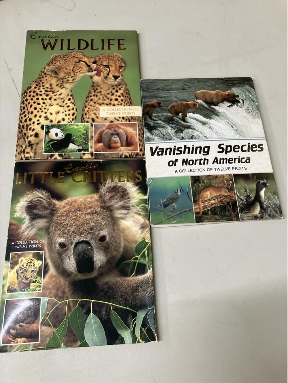 Lot Of 3,Books of Postcards, Exotic Animals And Vanishing Species